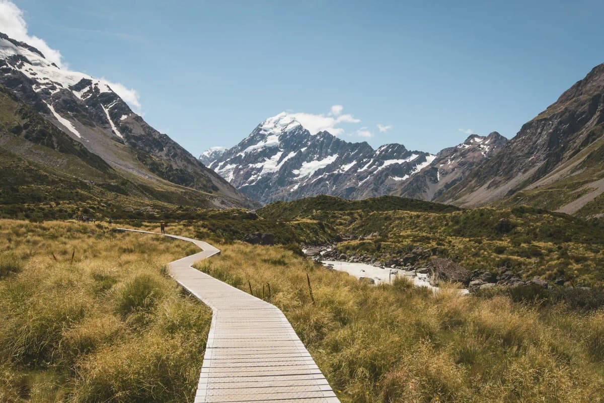 New Zealand landscape